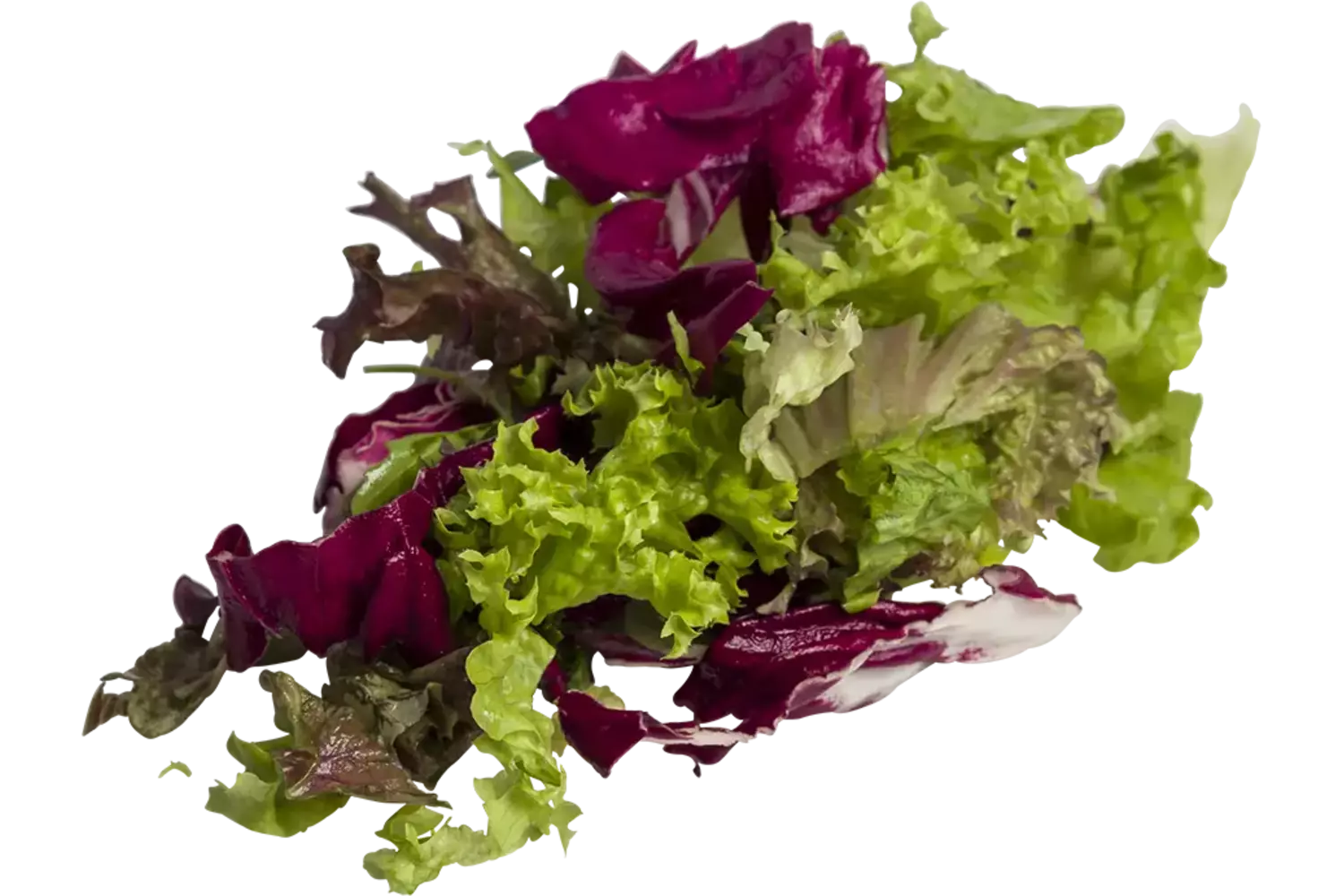 Gourmet sla mix 1 kilo stuk 1